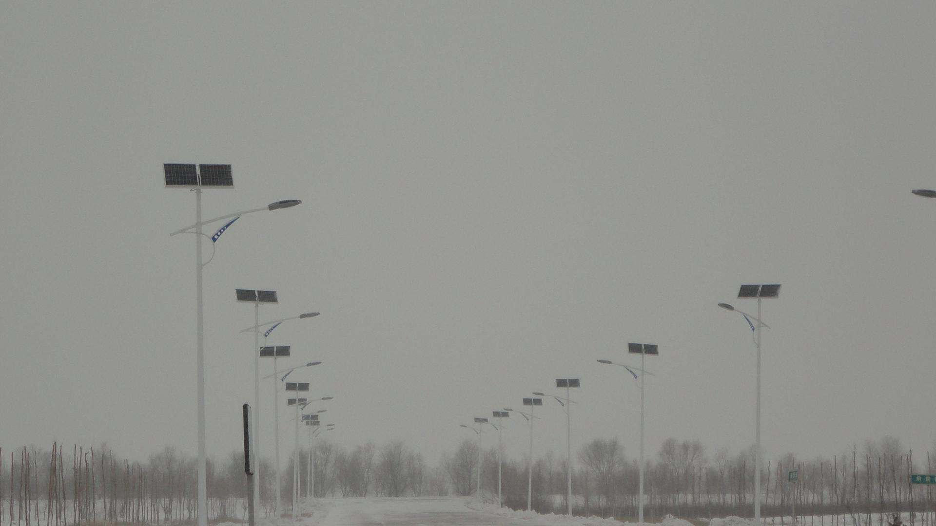 Solar Street Light in Mongolia
